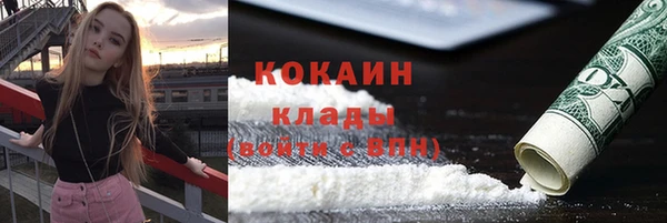 прущие грибы Баксан