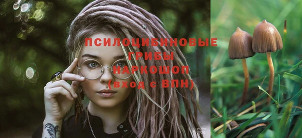 2c-b Балахна
